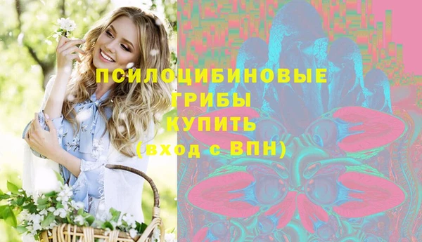 2c-b Алзамай