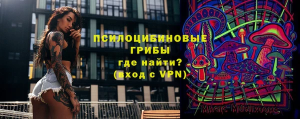 дурь Алексеевка
