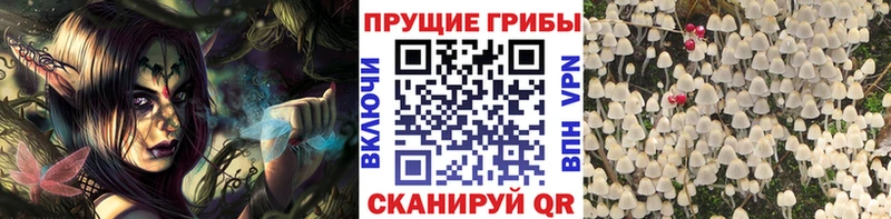 купить закладку ссылка на мегу зеркало Псилоцибиновые грибы MAGIC MUSHROOMS Кулебаки