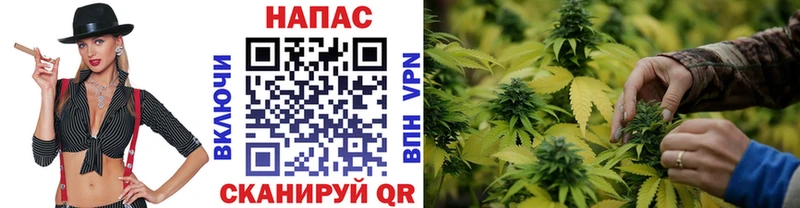 купить наркотики цена  Кулебаки  Бошки марихуана ГИДРОПОН 